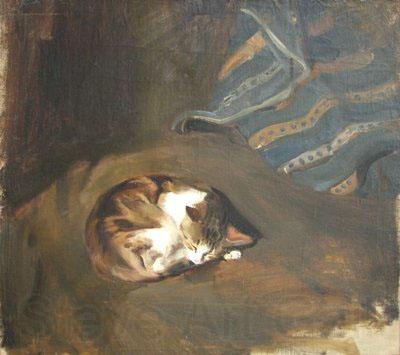 Paul Raud Sleeping cat by Paul Raud